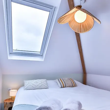 Apartment & 